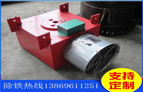 風(fēng)冷式電磁除鐵器生產(chǎn)廣西加工定制 風(fēng)冷式電磁除鐵器生產(chǎn)廣西加工定制