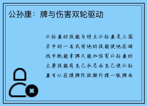 公孙康：牌与伤害双轮驱动