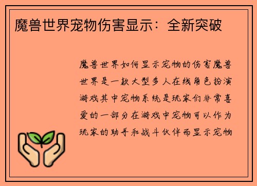 魔兽世界宠物伤害显示：全新突破